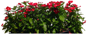 sticker_24006828_46088932