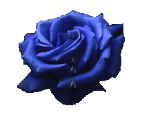 sticker_14494138_29670464