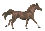 sticker_16421175_38793036