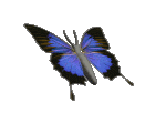 sticker_29234620_45185506
