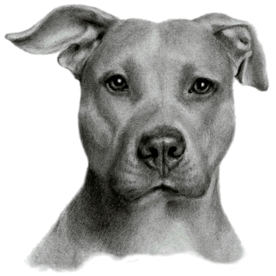 sticker_16153255_23840914