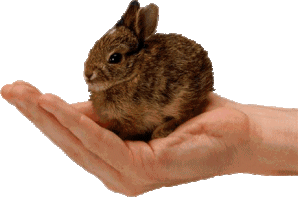 sticker_17624527_46865423