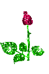 sticker_2940717_14368705