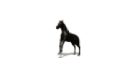 sticker_12417504_25838580
