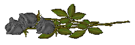 sticker_21284336_47599831