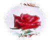 sticker_31658266_47580040