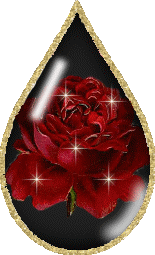 sticker_12750797_24811157