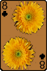 sticker_21920493_47510125