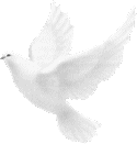 sticker_17324506_35650101