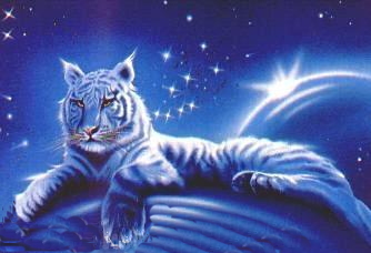 sticker_29732997_47319113