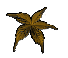 sticker_809726_7632612