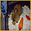 sticker_1523823_29629693
