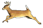 sticker_13361594_46761776