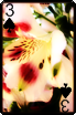 sticker_715086_47602948