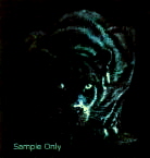sticker_35971348_5