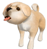 sticker_13361594_46253025