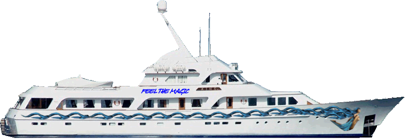 sticker_14839049_23626107