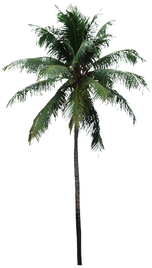sticker_24006828_45394249
