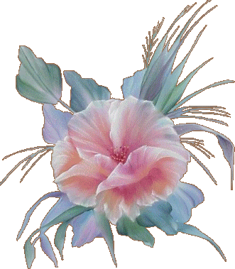 sticker_20549428_46787573