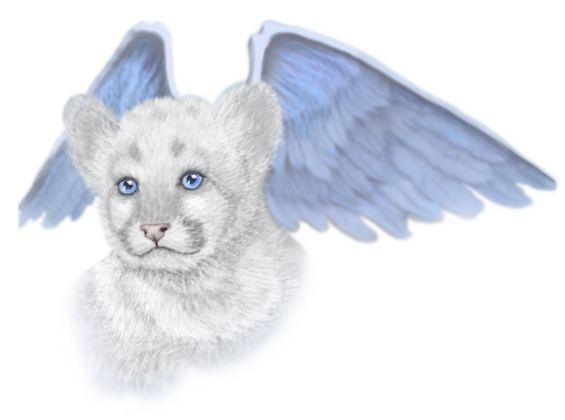 sticker_12417504_21509857
