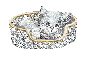 sticker_21284336_47599731