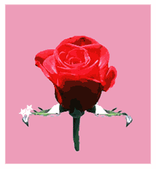 sticker_36296040_131