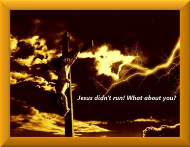 sticker_15200572_45907822