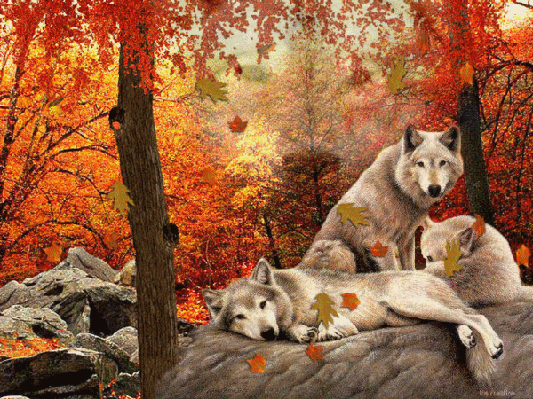 sticker_9579711_47540553