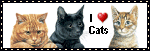 sticker_4917213_38330725