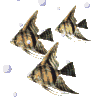 sticker_35747380_58