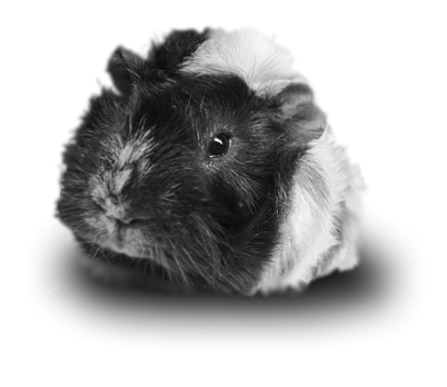sticker_1196482_10389414