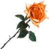 sticker_7666538_47482178