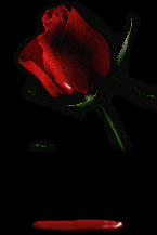 sticker_16908342_45088585