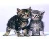 sticker_36969329_14