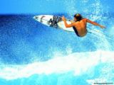 sticker_16140942_32661418