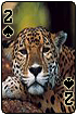 sticker_22933190_44496082