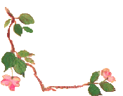 sticker_30676001_44326042