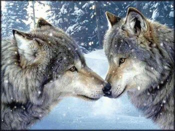 sticker_1604602_2433450