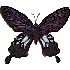 sticker_20378434_47311331
