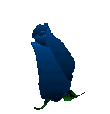 sticker_29165504_47515789