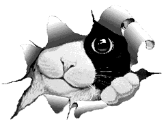 sticker_11287514_14318535
