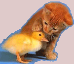 sticker_23520904_42652683