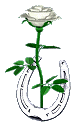 sticker_566846_15605321
