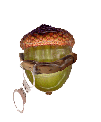 sticker_11903297_16285258