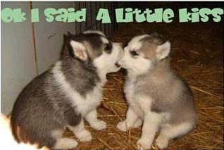 sticker_5023086_15888691