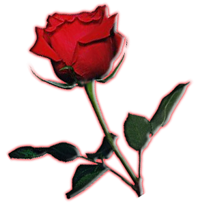 sticker_36545923_7