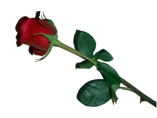 sticker_35061166_137