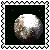 sticker_1986197_27304880