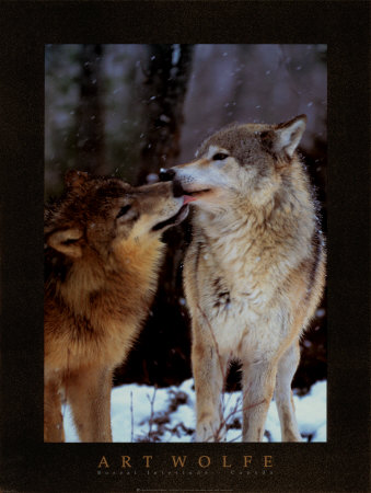 sticker_25525843_47525376