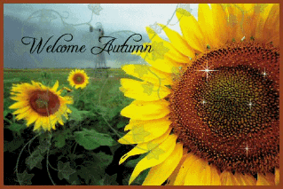 sticker_8484749_46998830